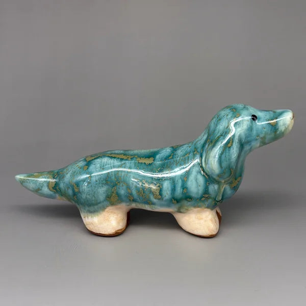 Dachshund