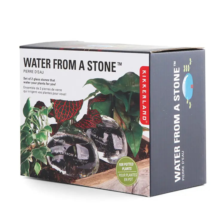 Water From A Stone