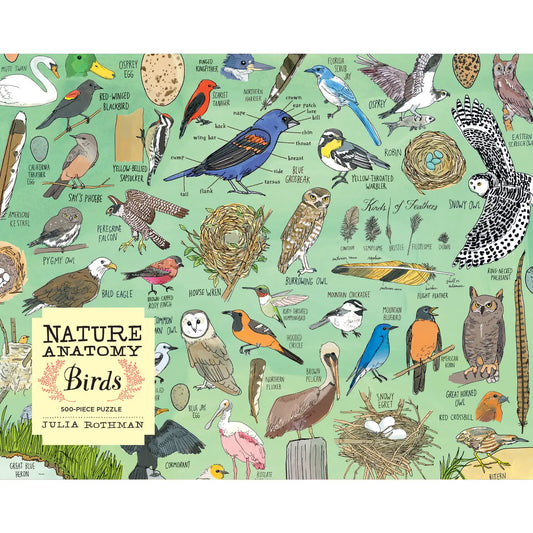 Nature Anatomy: Birds Puzzle (500 Pieces)