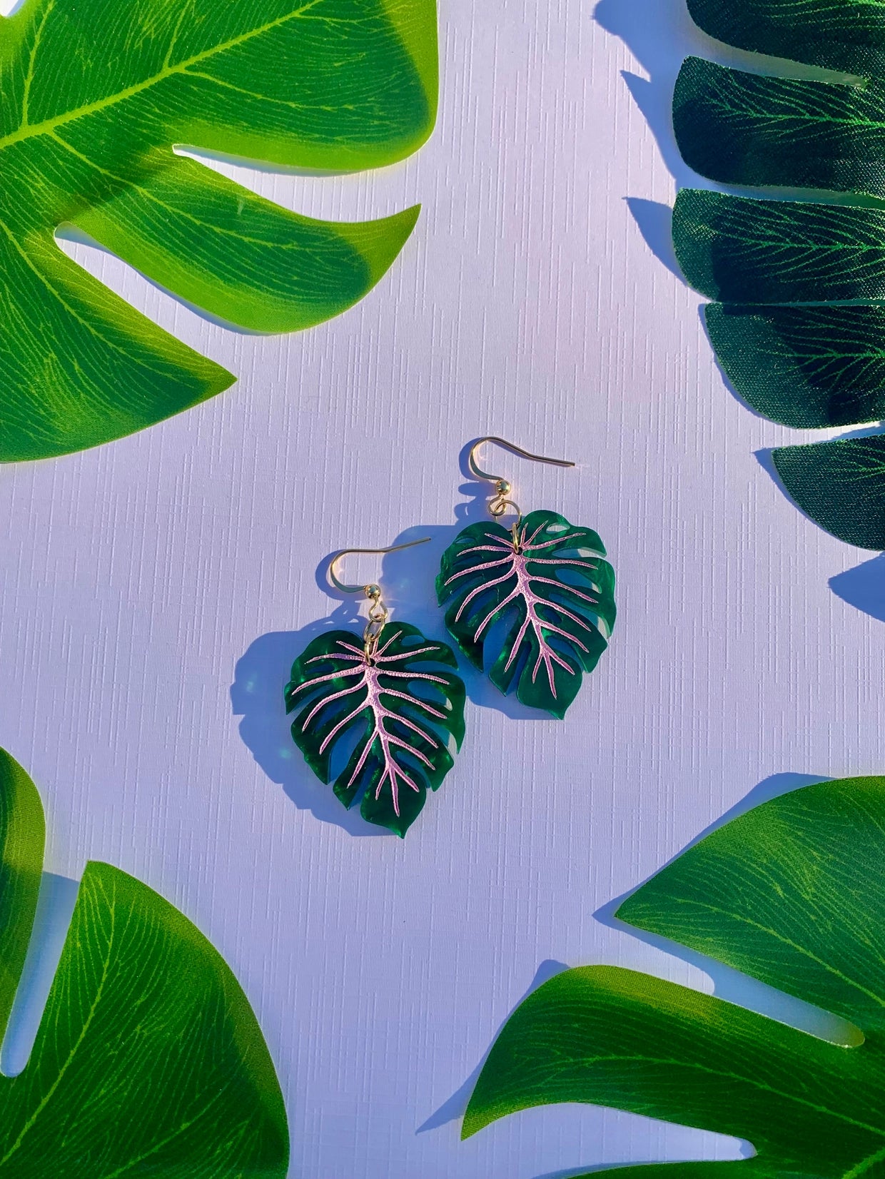 Mini Monstera