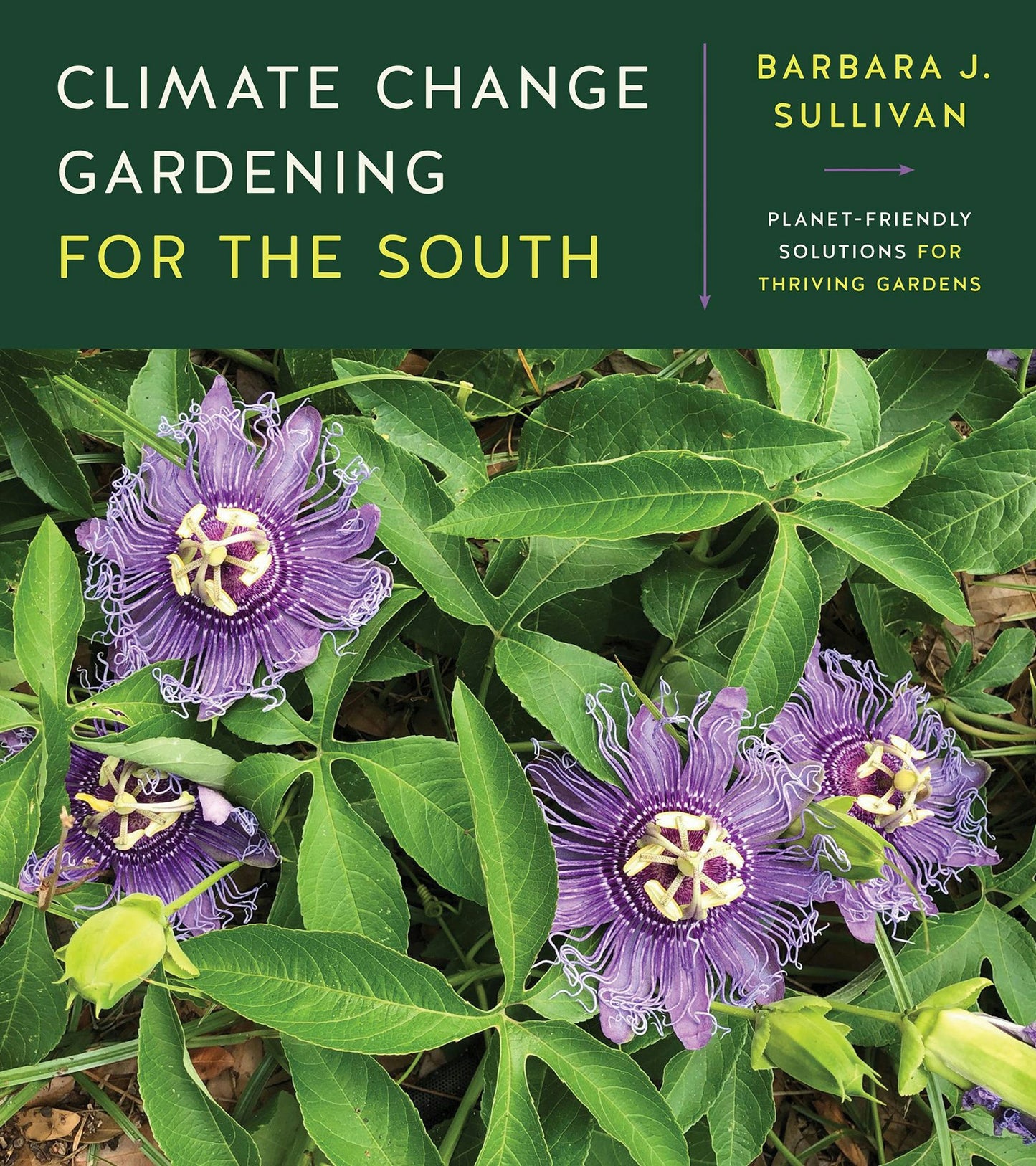 Climate Change Gardening for the South by Barbara J. Sullivan (paperback)
