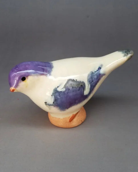 Big Birdy Bird Head Turned